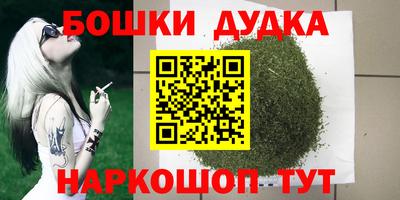 индика Бийск