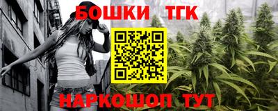 индика Бийск