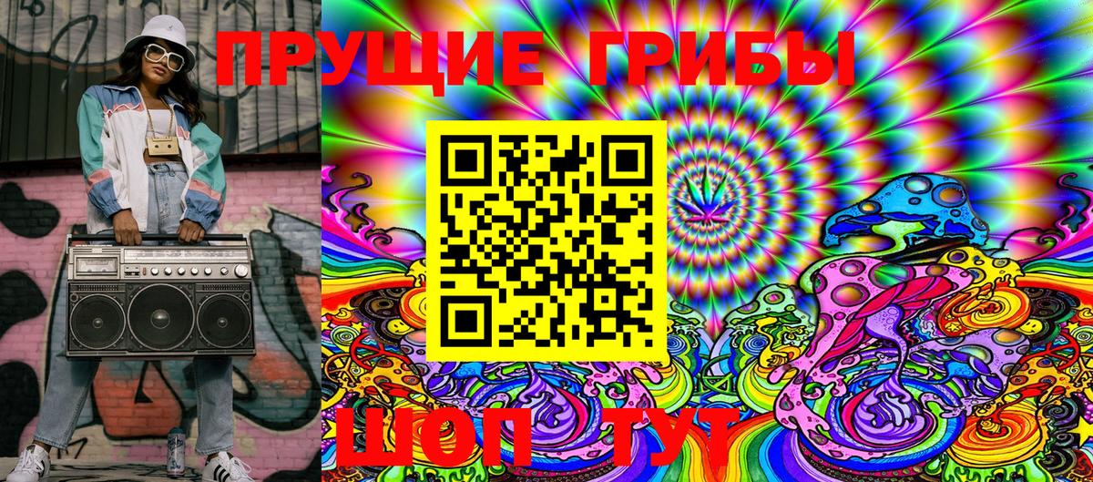 Галлюциногенные грибы Cubensis Губаха