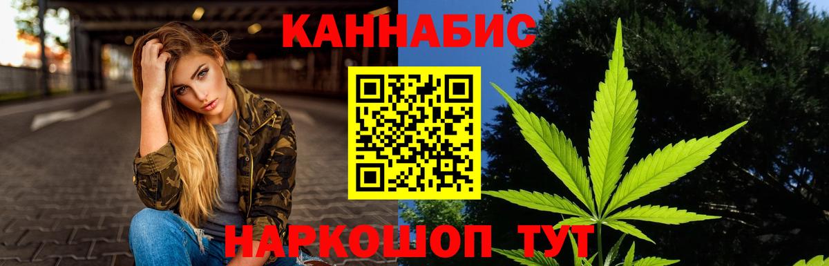 МАРИХУАНА сатива Губаха